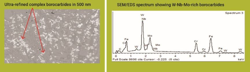 Duroxite 300_microstructure